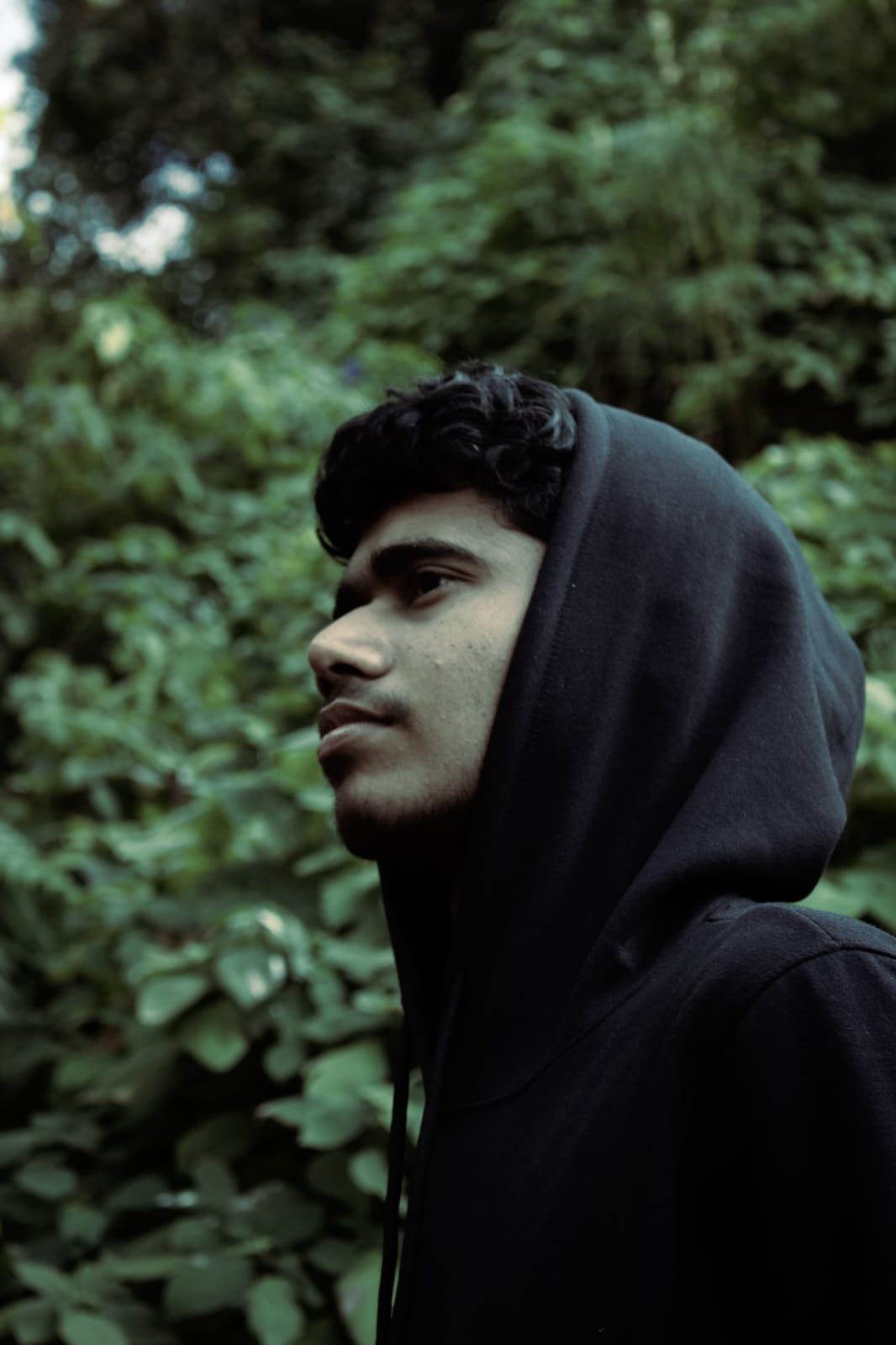 Sivadarsh outdoors in a forest